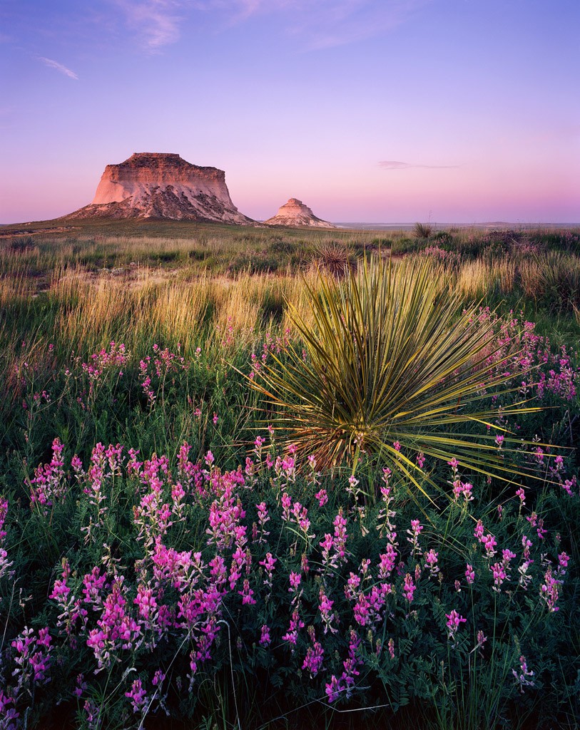 Pawnee National Grassland